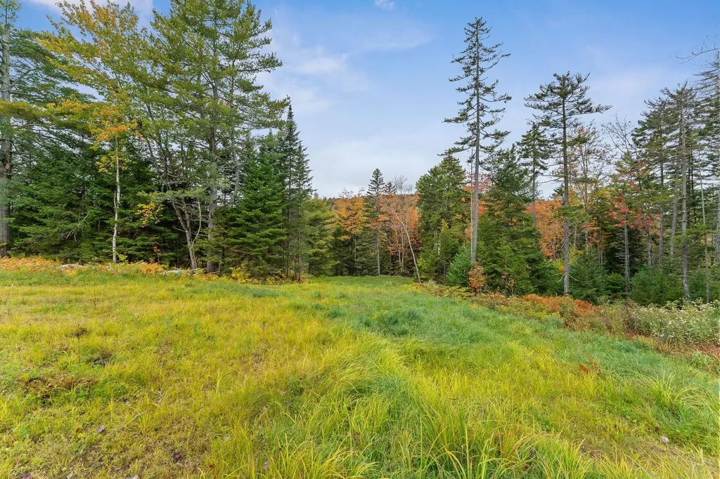 335 Calais Road Worcester VT 05682