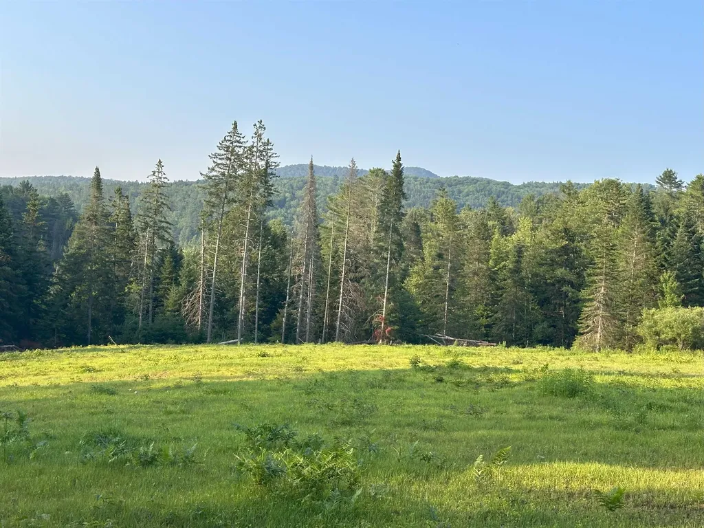 335 Calais Road Worcester VT 05682