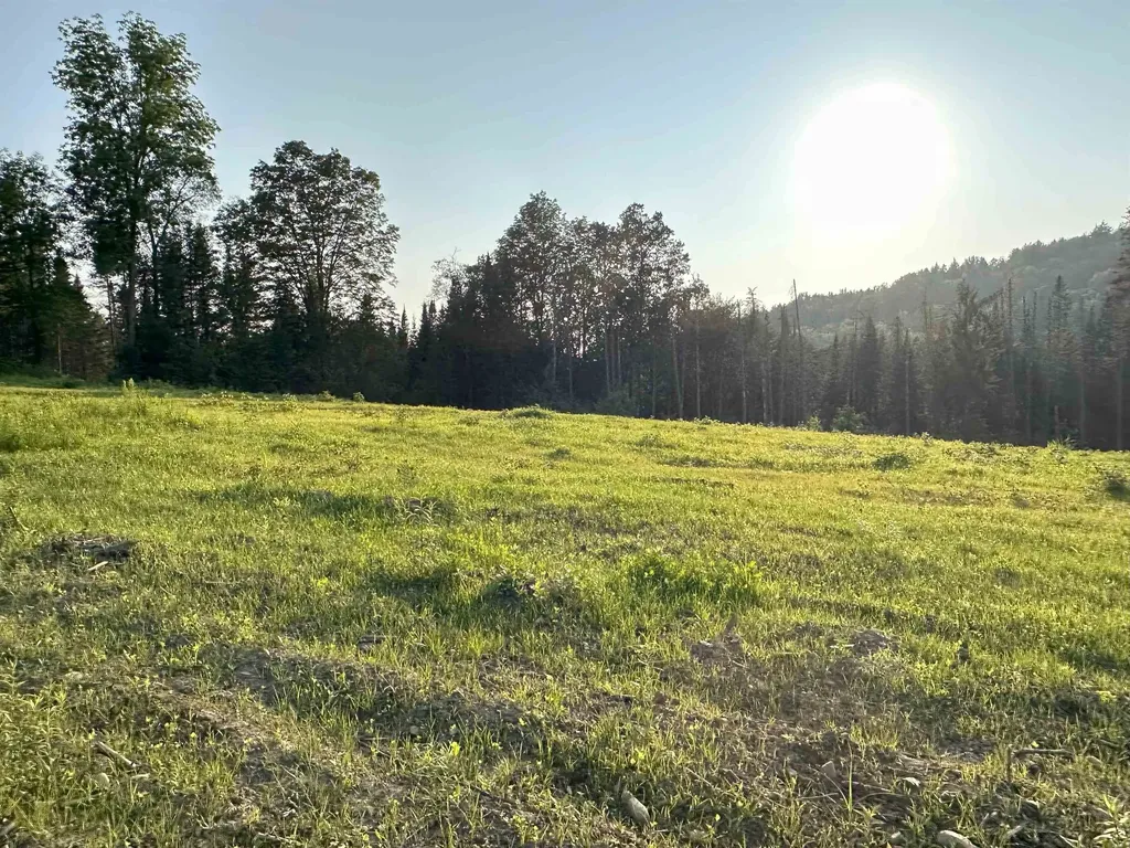 335 Calais Road Worcester VT 05682