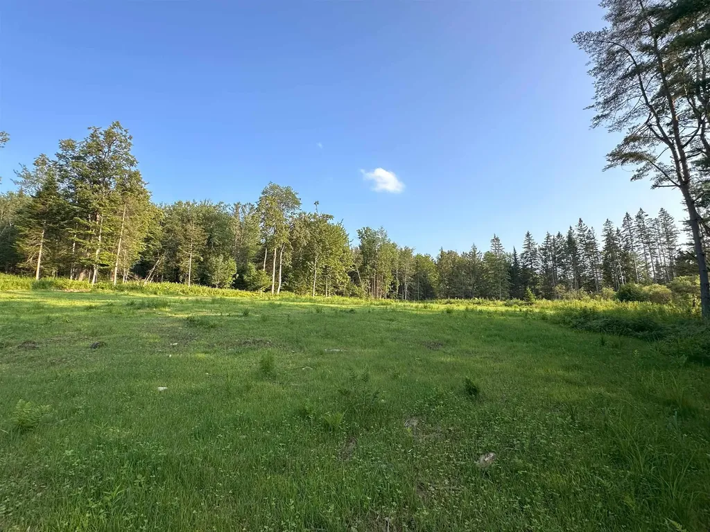 335 Calais Road Worcester VT 05682