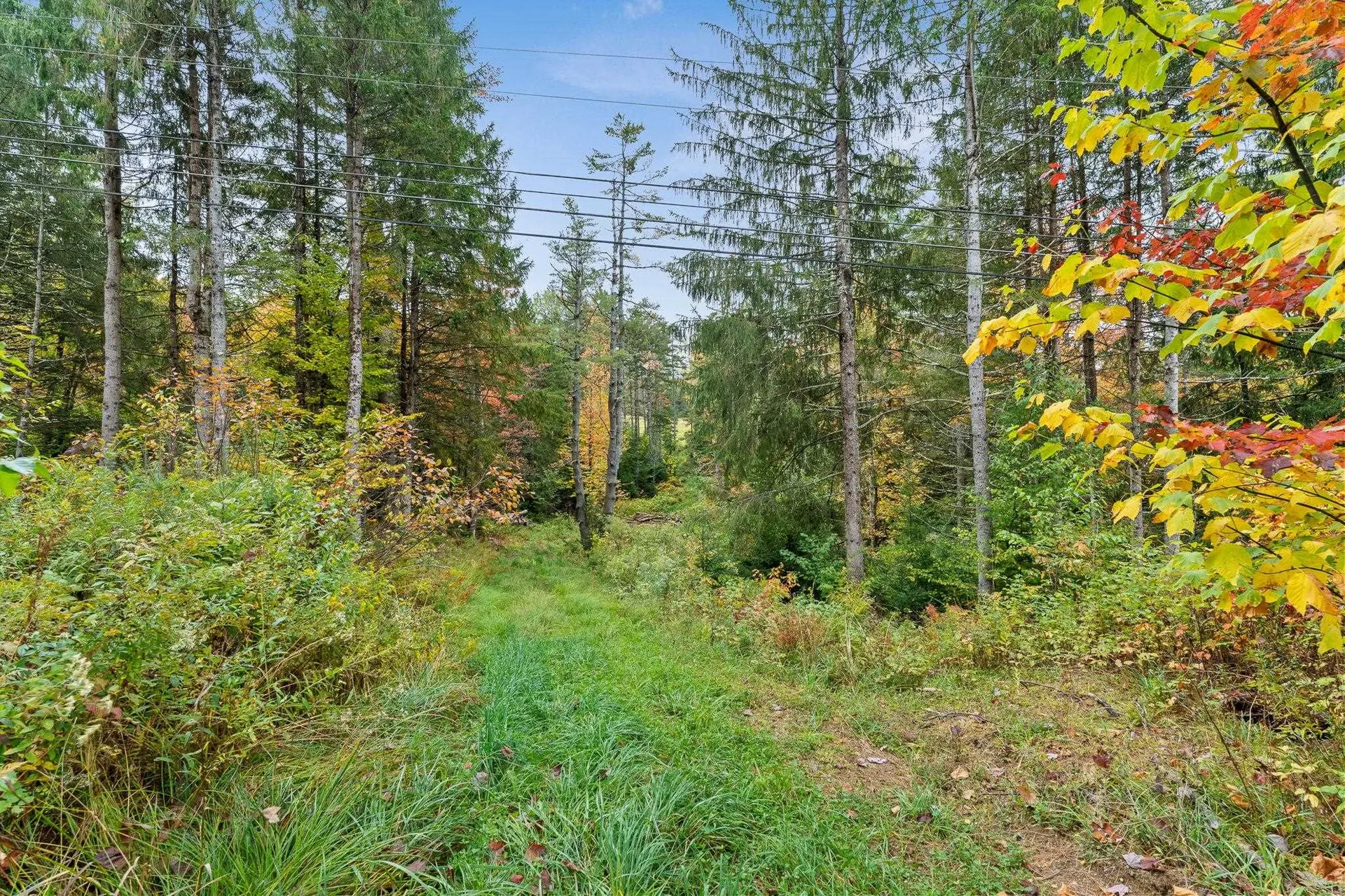 335 Calais Road Worcester VT 05682