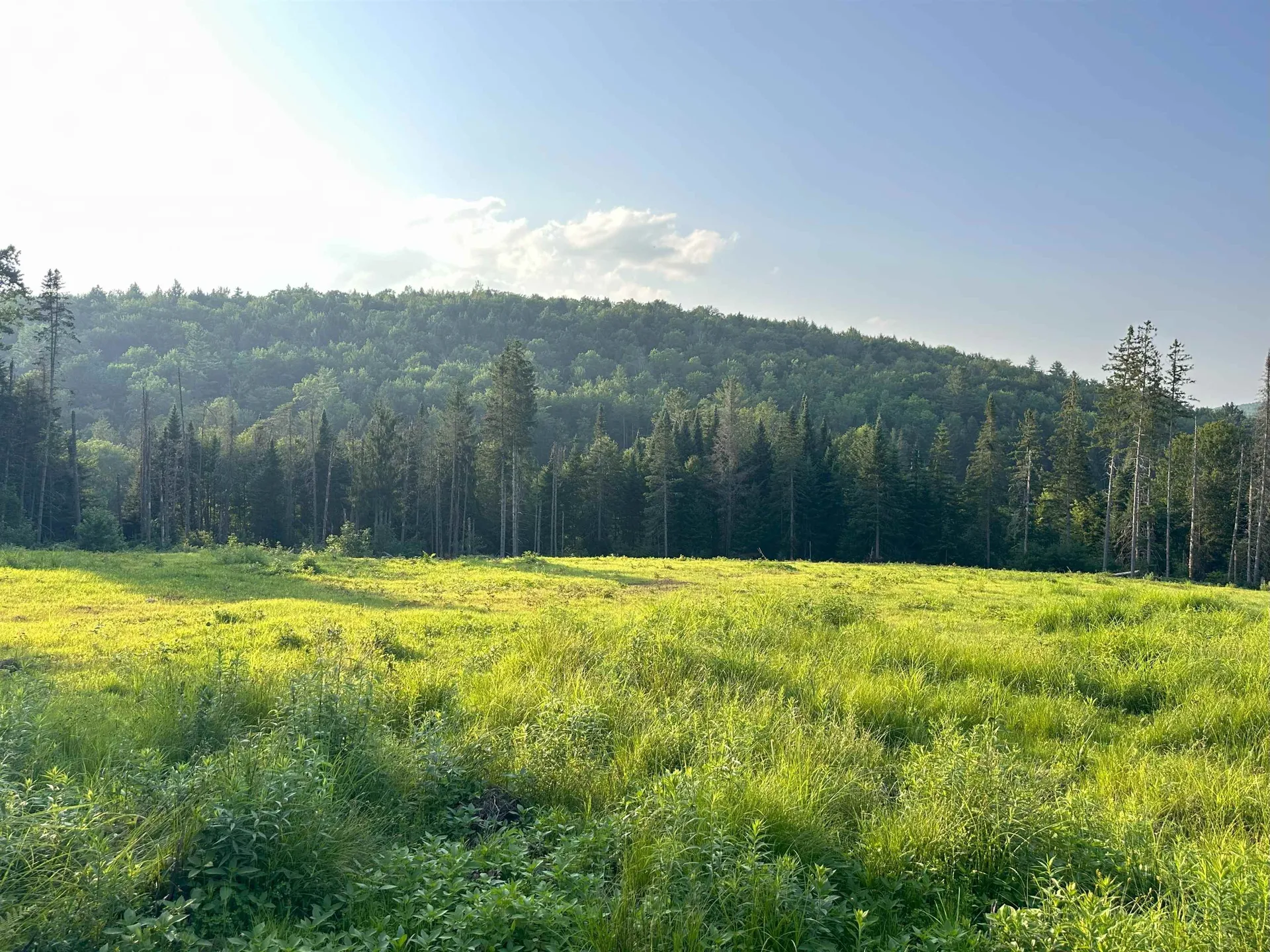 335 Calais Road Worcester VT 05682