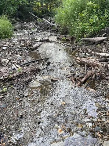 335 Calais Road Worcester VT 05682