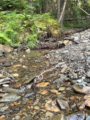 335 Calais Road Worcester VT 05682