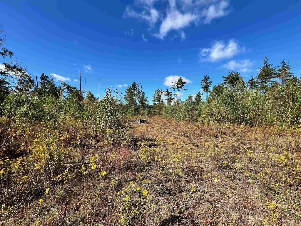 567 Nh Route 137 Harrisville NH 03450-5015