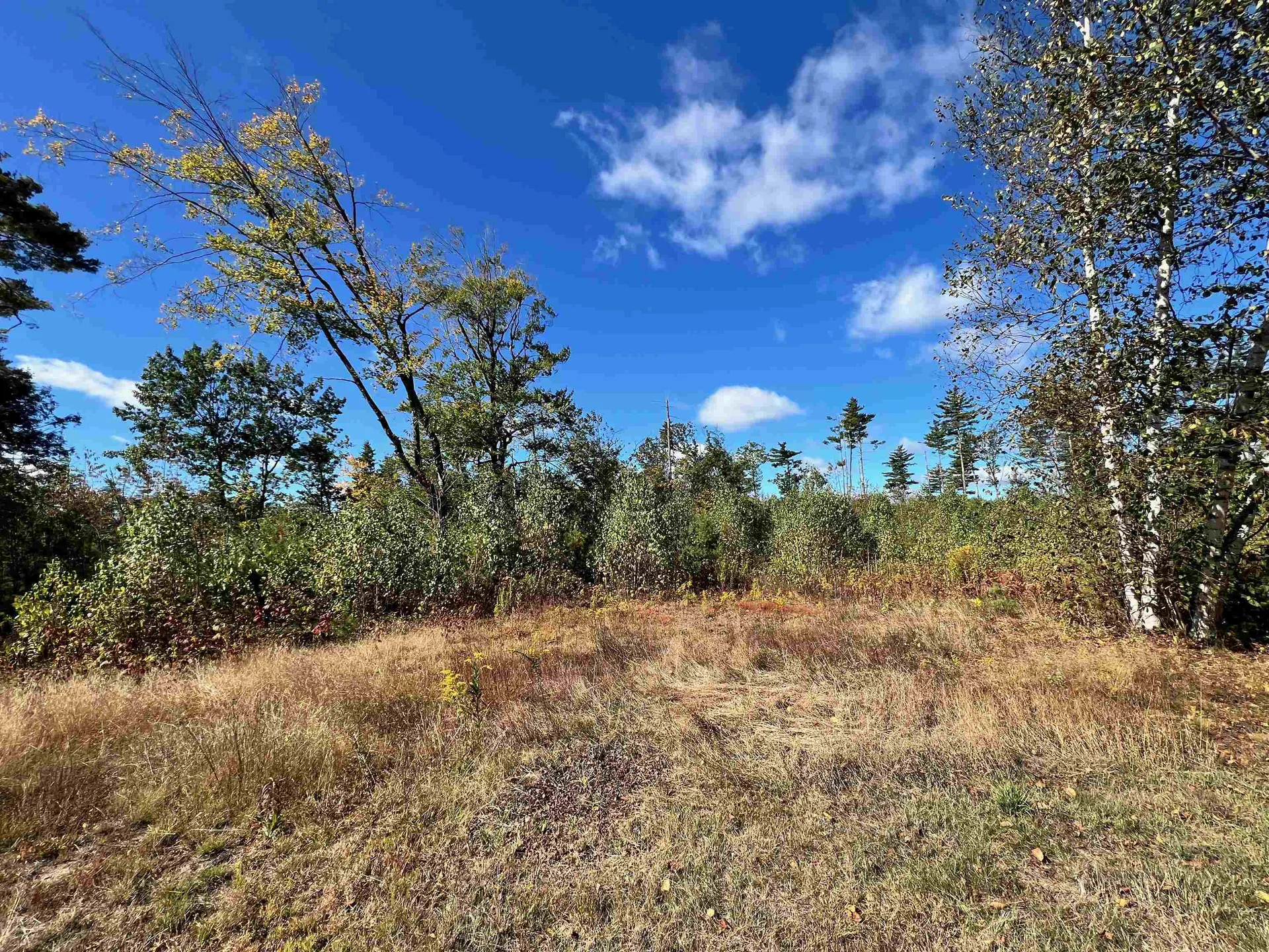 567 Nh Route 137 Harrisville NH 03450-5015