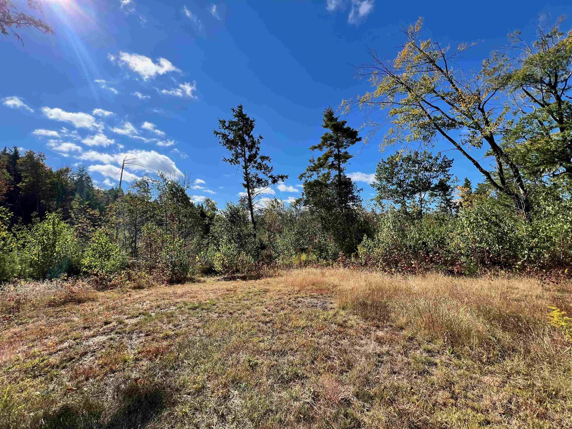 567 Nh Route 137 Harrisville NH 03450-5015