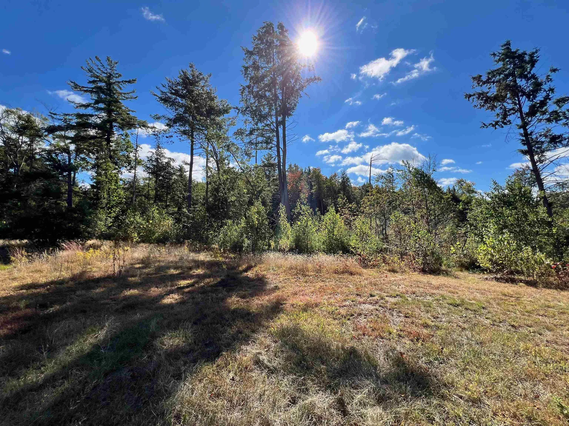 567 Nh Route 137 Harrisville NH 03450-5015