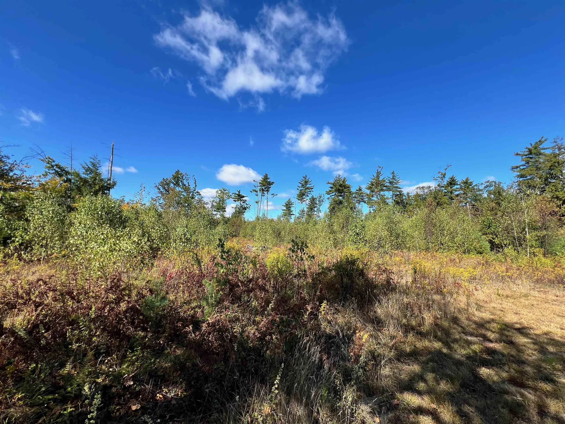 567 Nh Route 137 Harrisville NH 03450-5015