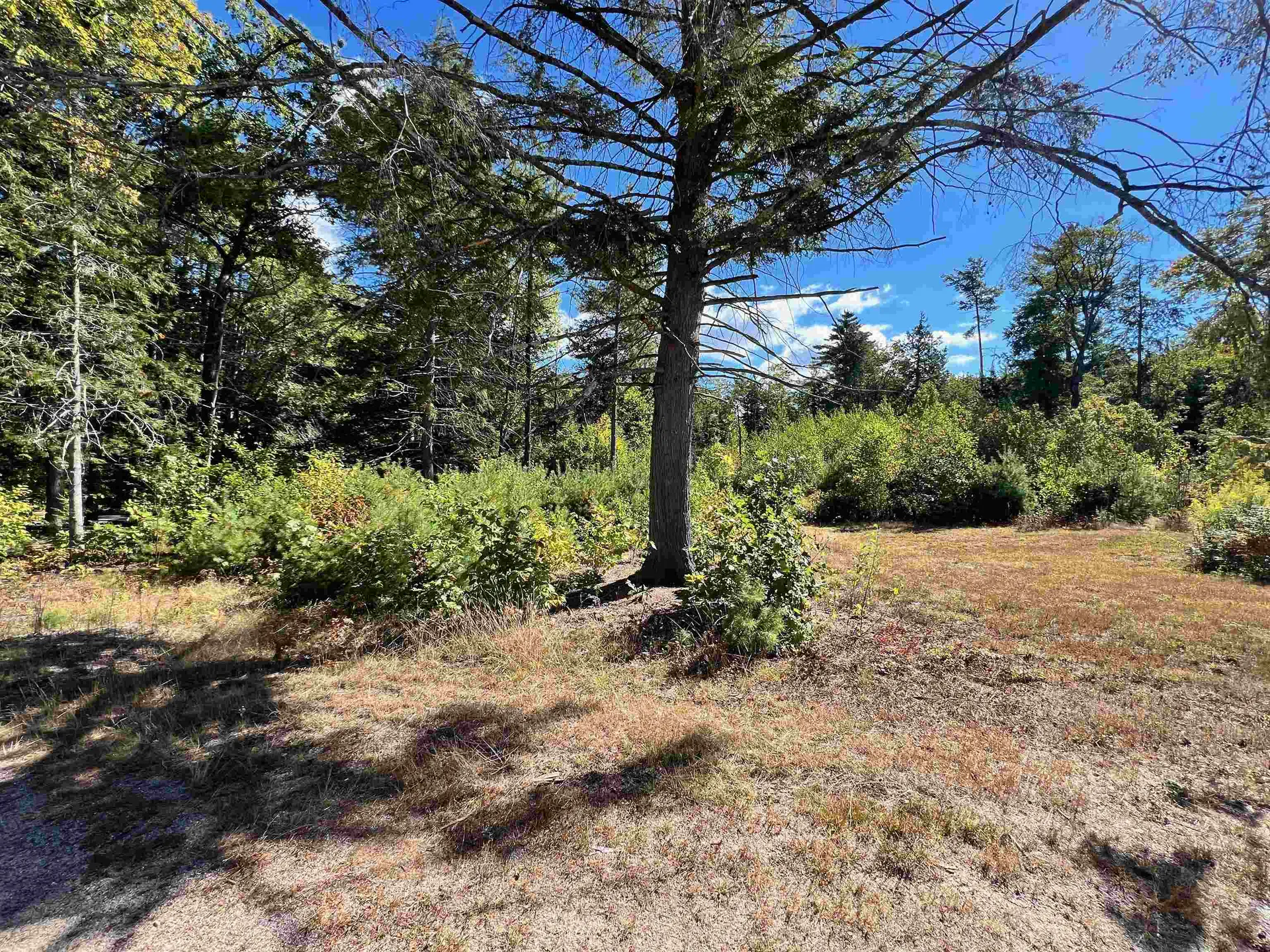 567 Nh Route 137 Harrisville NH 03450-5015