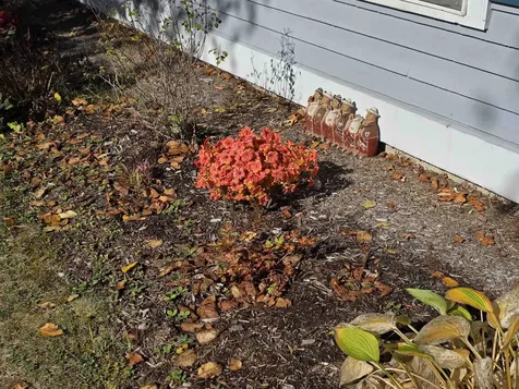 85 Freedom Drive Montpelier VT 05602