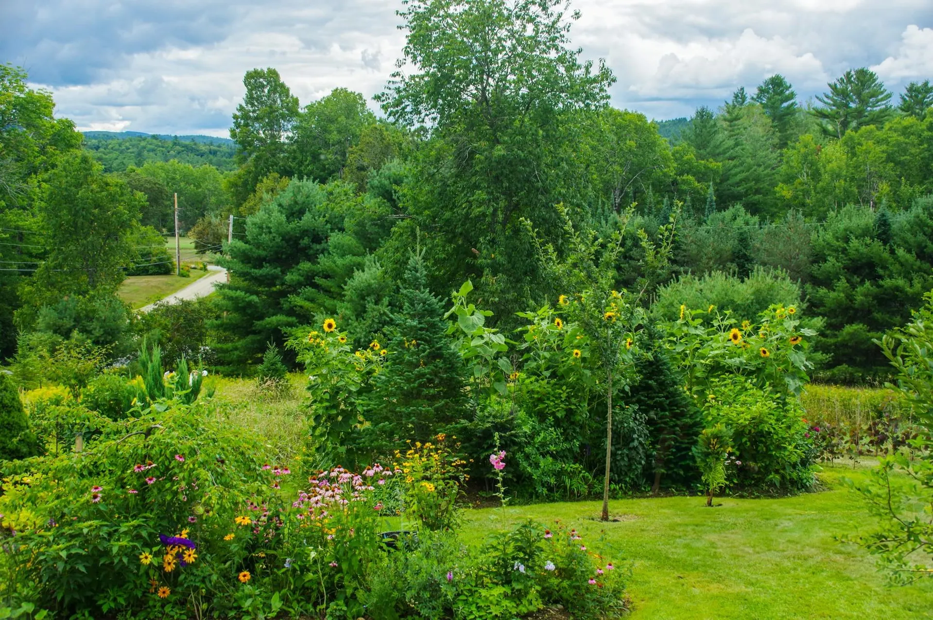 87 Porter Road Bath NH 03740