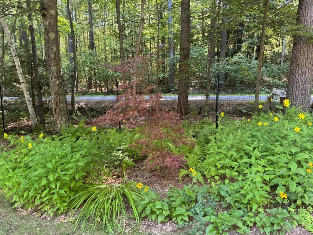 834 Borough Road Pembroke NH 03275