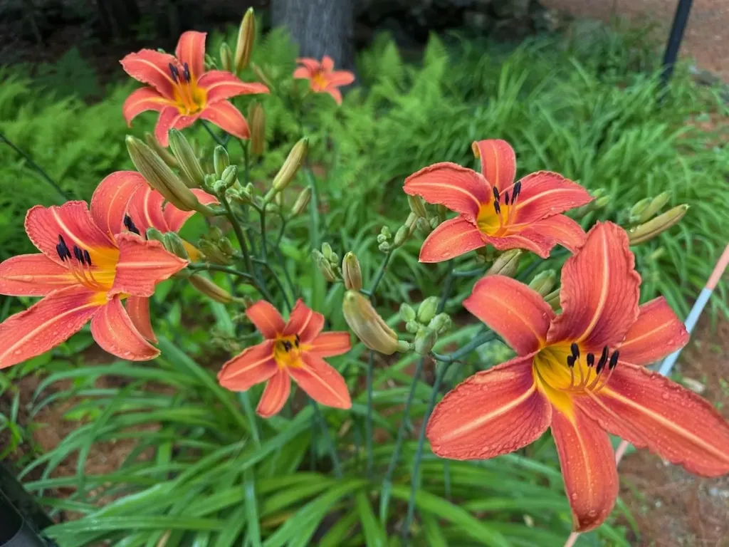 834 Borough Road Pembroke NH 03275