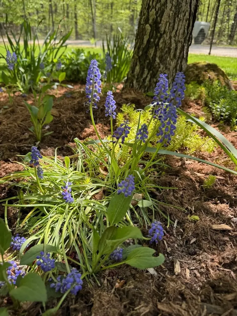 834 Borough Road Pembroke NH 03275