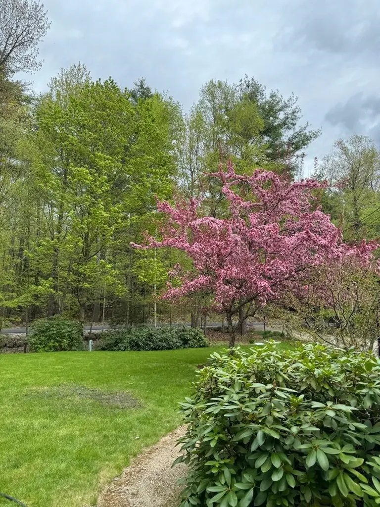 834 Borough Road Pembroke NH 03275