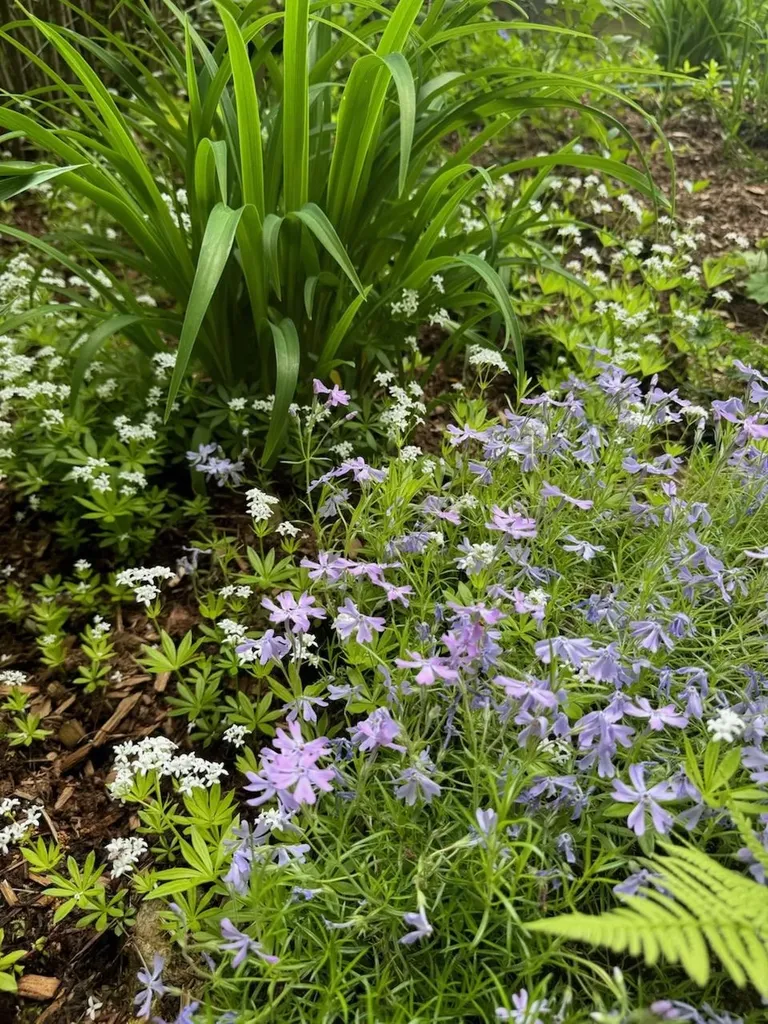 834 Borough Road Pembroke NH 03275