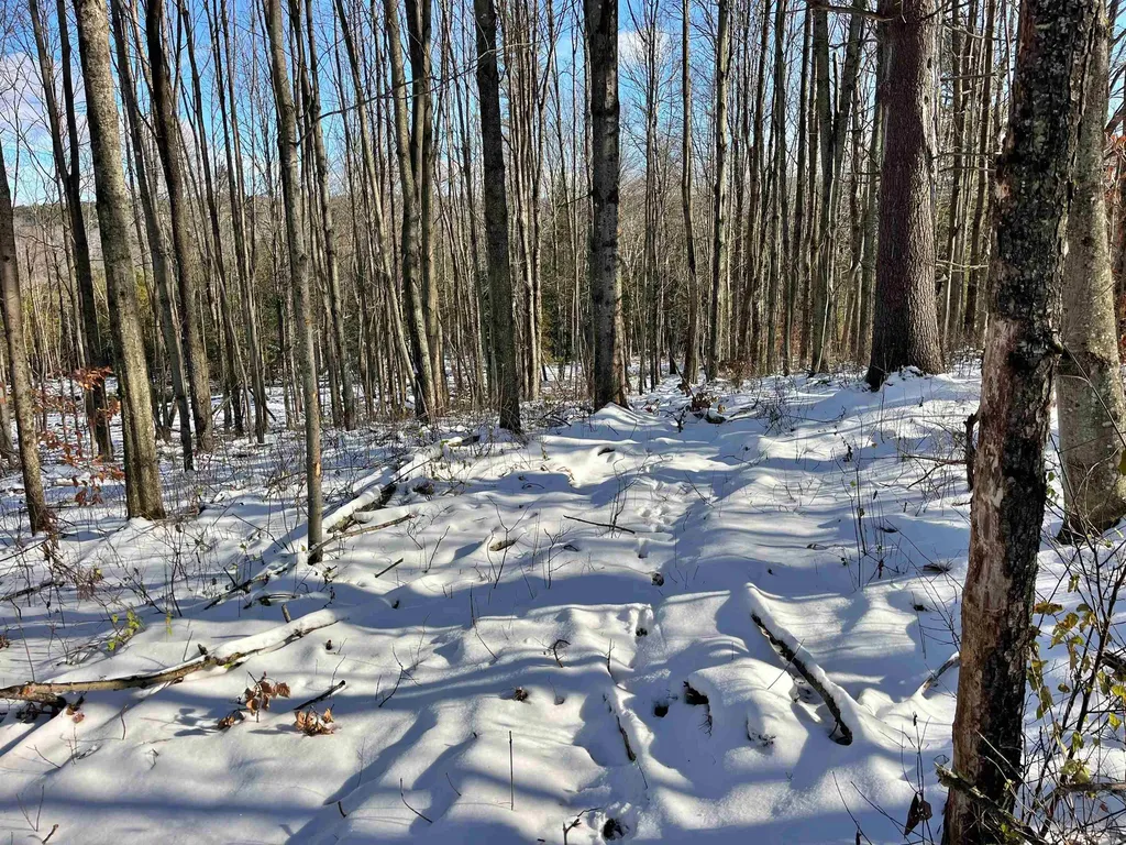 001 Duck Pond Road Barton VT 05822