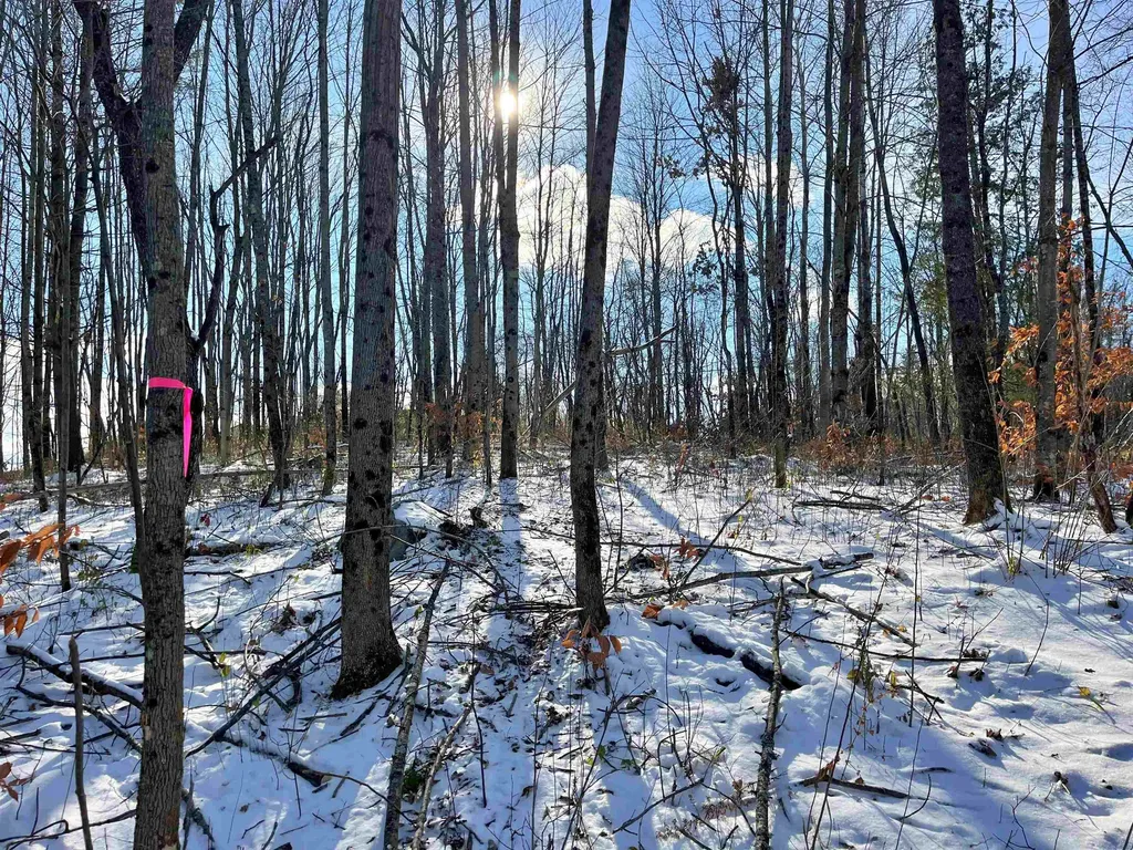 001 Duck Pond Road Barton VT 05822