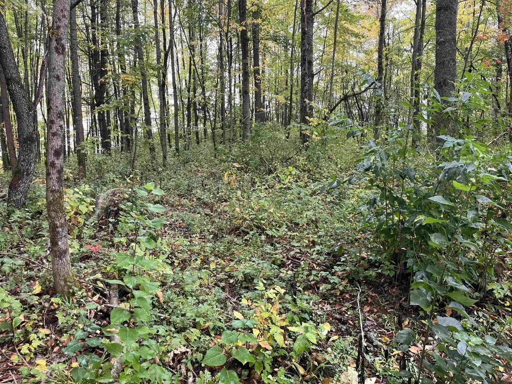 001 Duck Pond Road Barton VT 05822