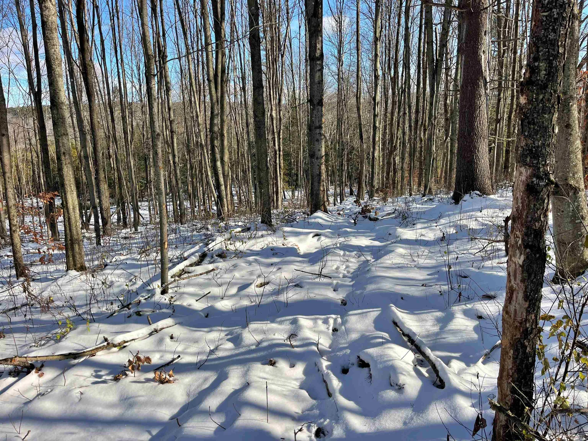 001 Duck Pond Road Barton VT 05822