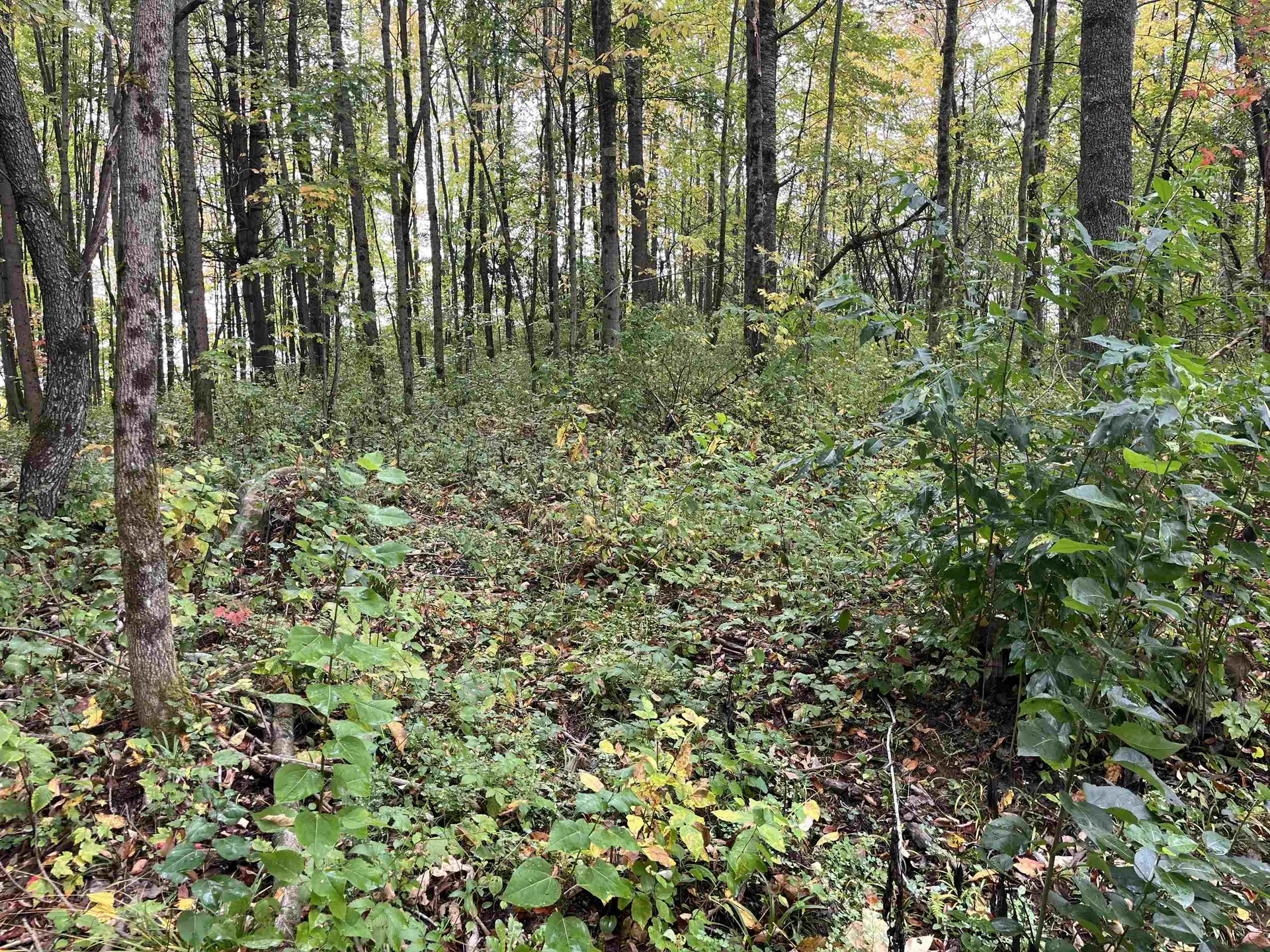 001 Duck Pond Road Barton VT 05822