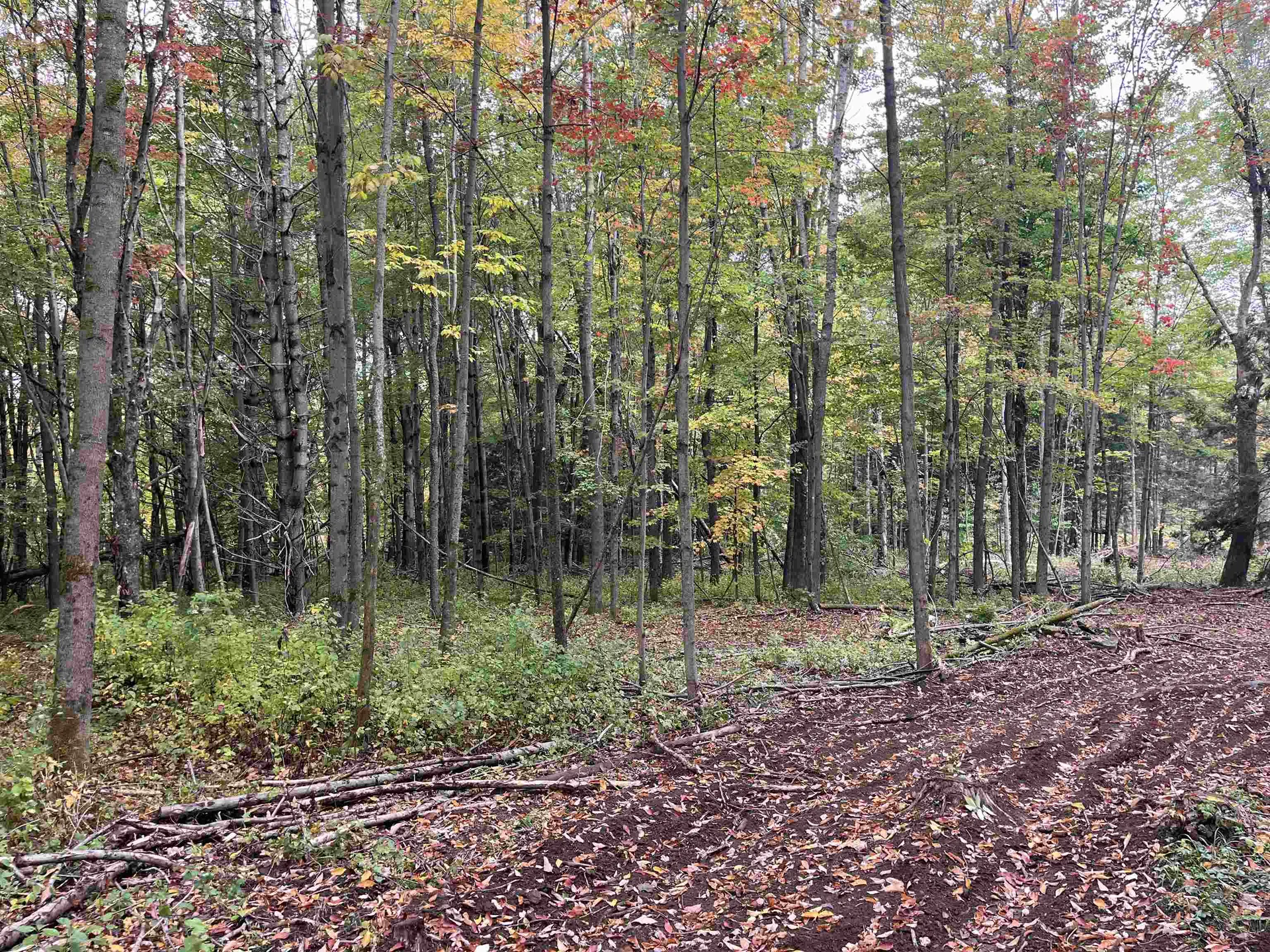 002 Duck Pond Road Barton VT 05822