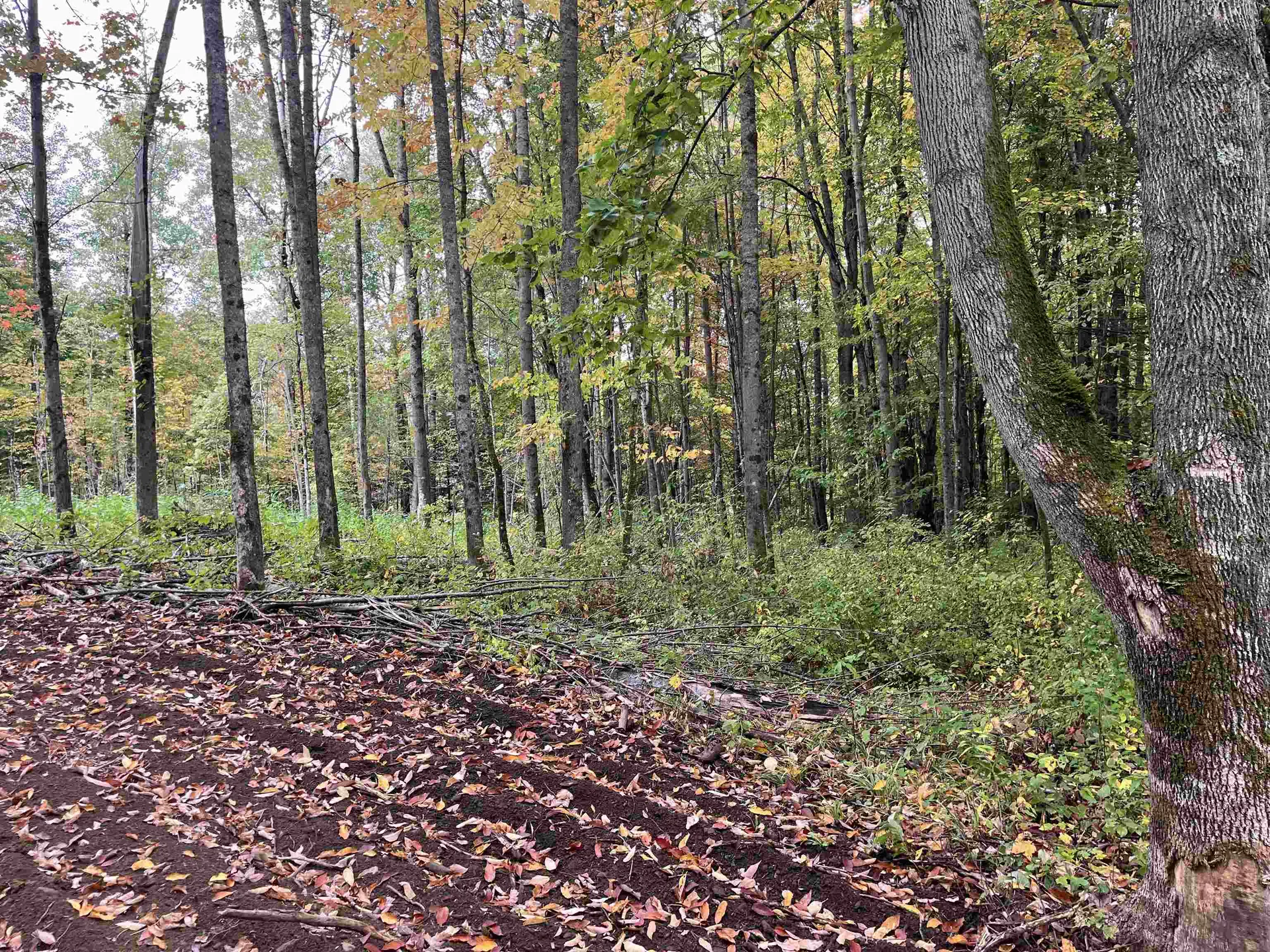 002 Duck Pond Road Barton VT 05822