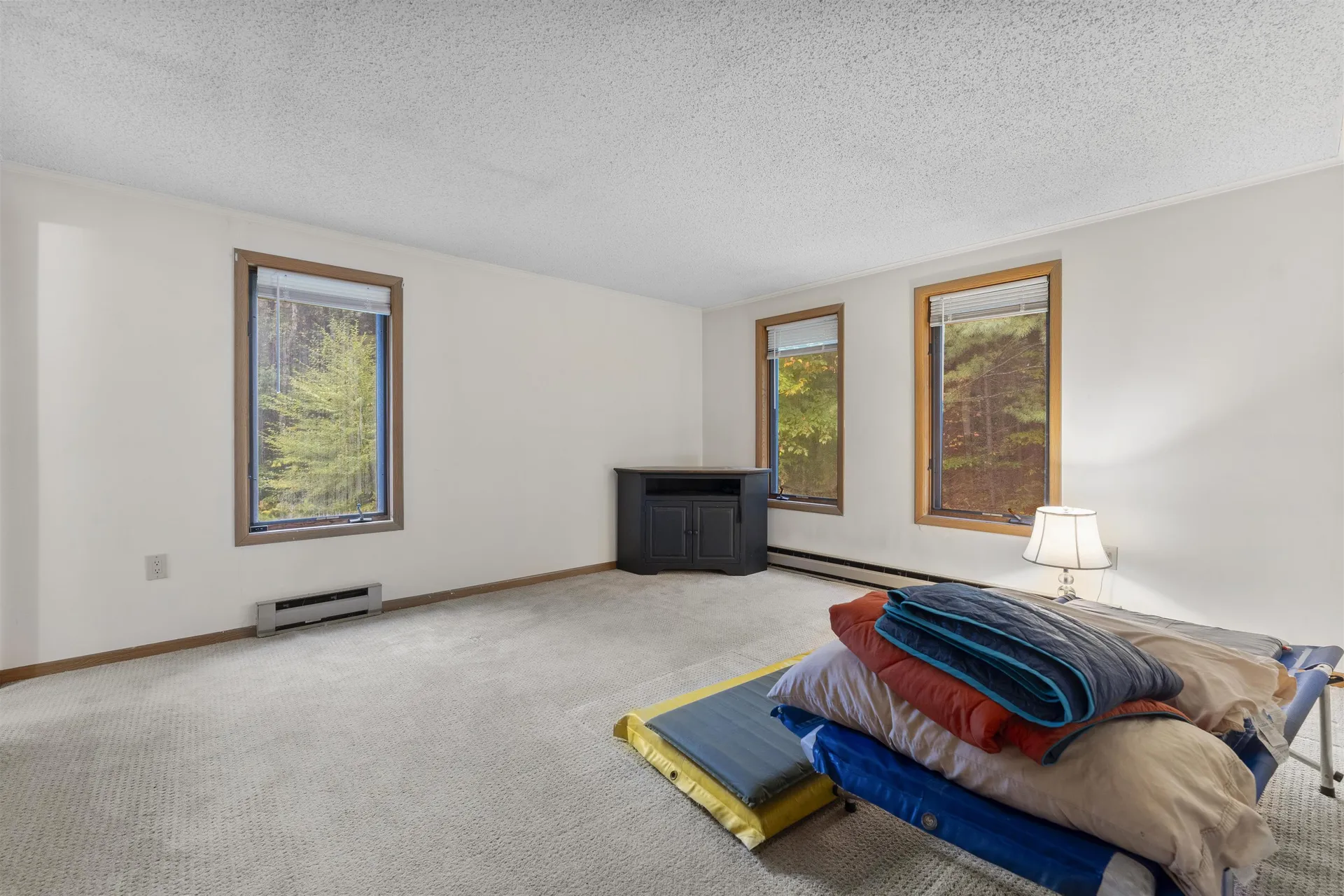 123 Oak Hill Road Wardsboro VT 05360