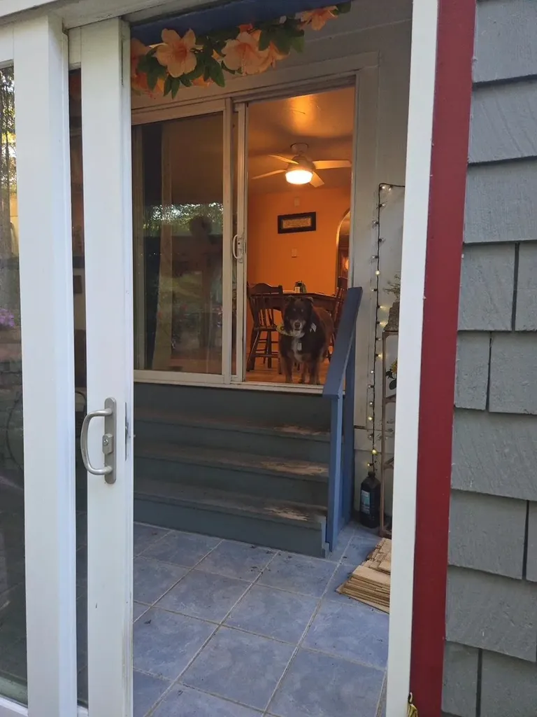 15 Fredwood Drive Chichester NH 03258