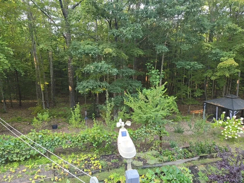 15 Fredwood Drive Chichester NH 03258