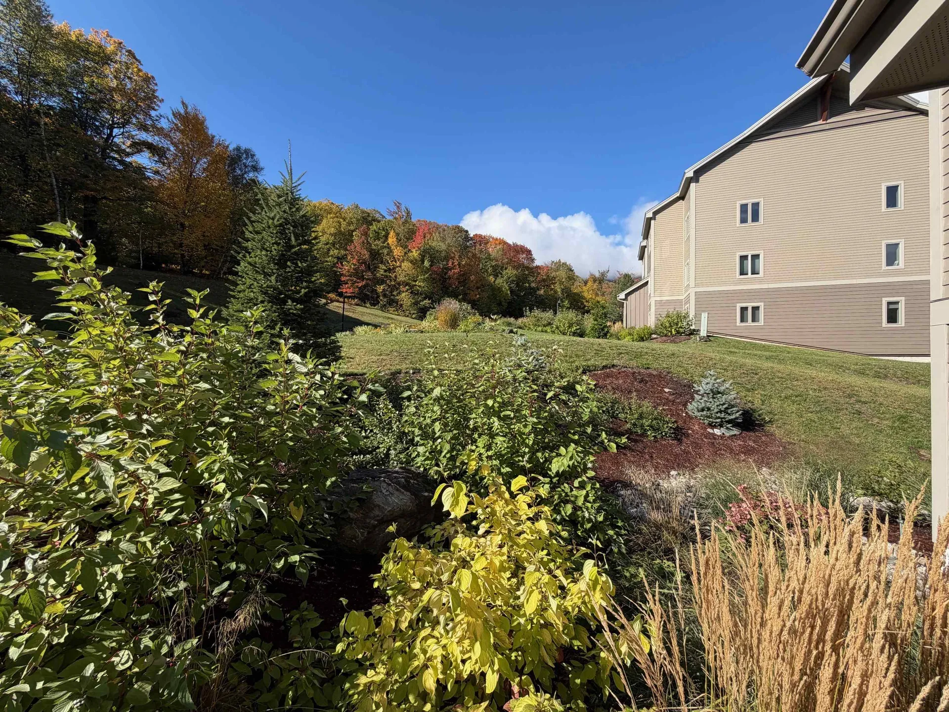 130 Upper Snow Creek Road Warren VT 05674