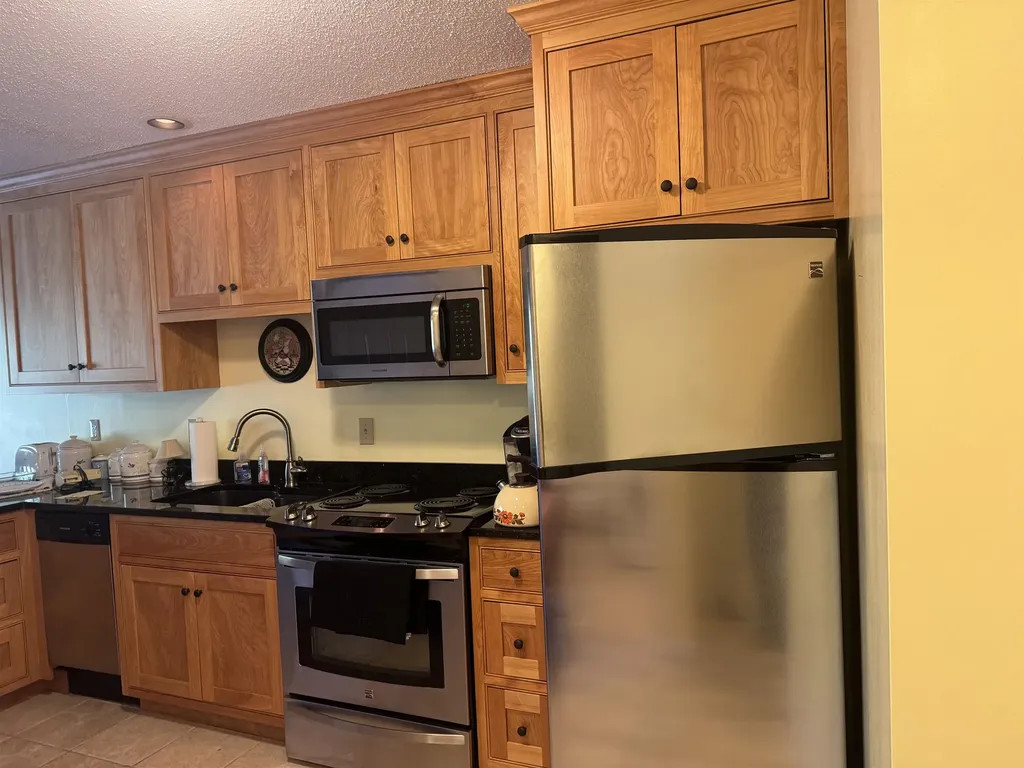 23 Mount Brook Unit Road Burke VT 05832-9751