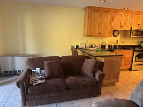 23 Mount Brook Unit Road Burke VT 05832-9751