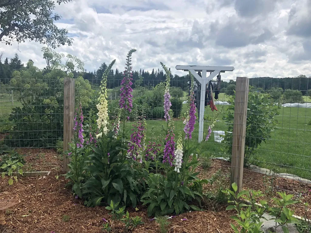 174 Coburn Road East Montpelier VT 05667