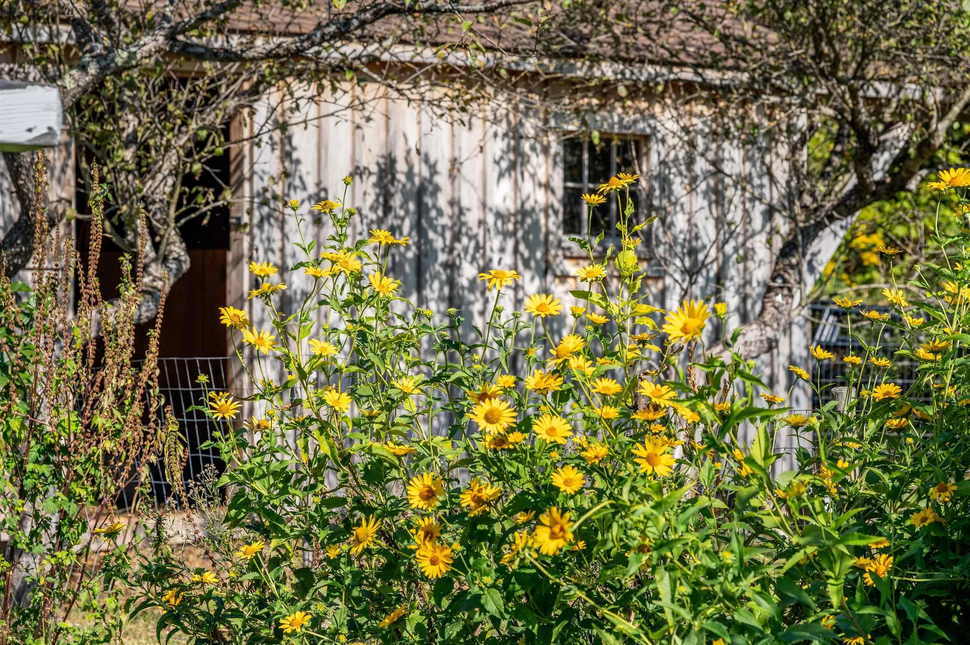 174 Coburn Road East Montpelier VT 05667