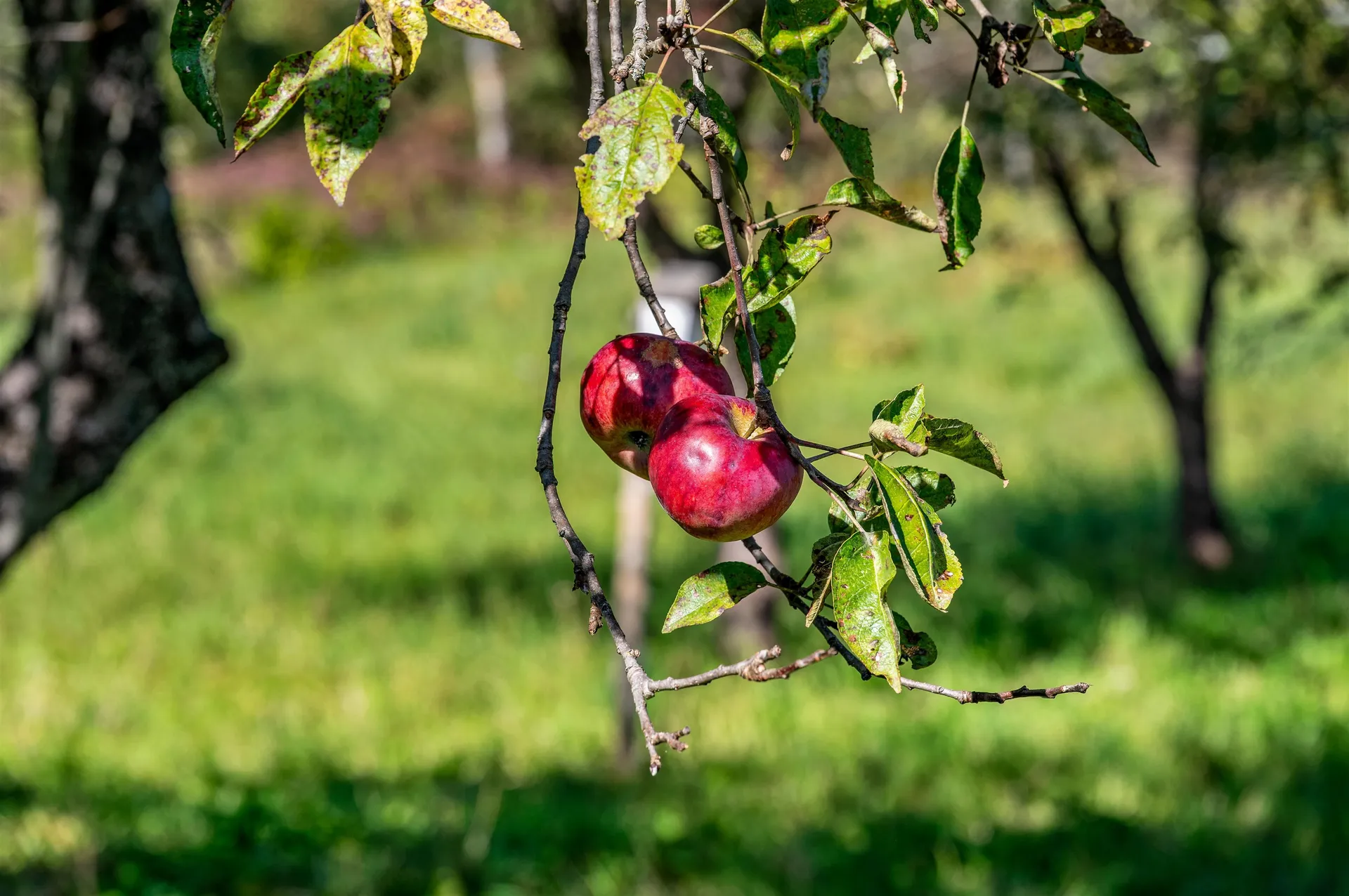 174 Coburn Road East Montpelier VT 05667