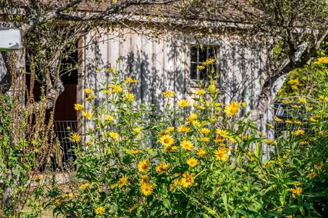 174 Coburn Road East Montpelier VT 05667