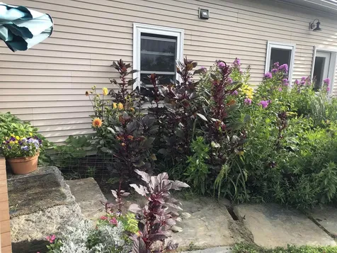 174 Coburn Road East Montpelier VT 05667