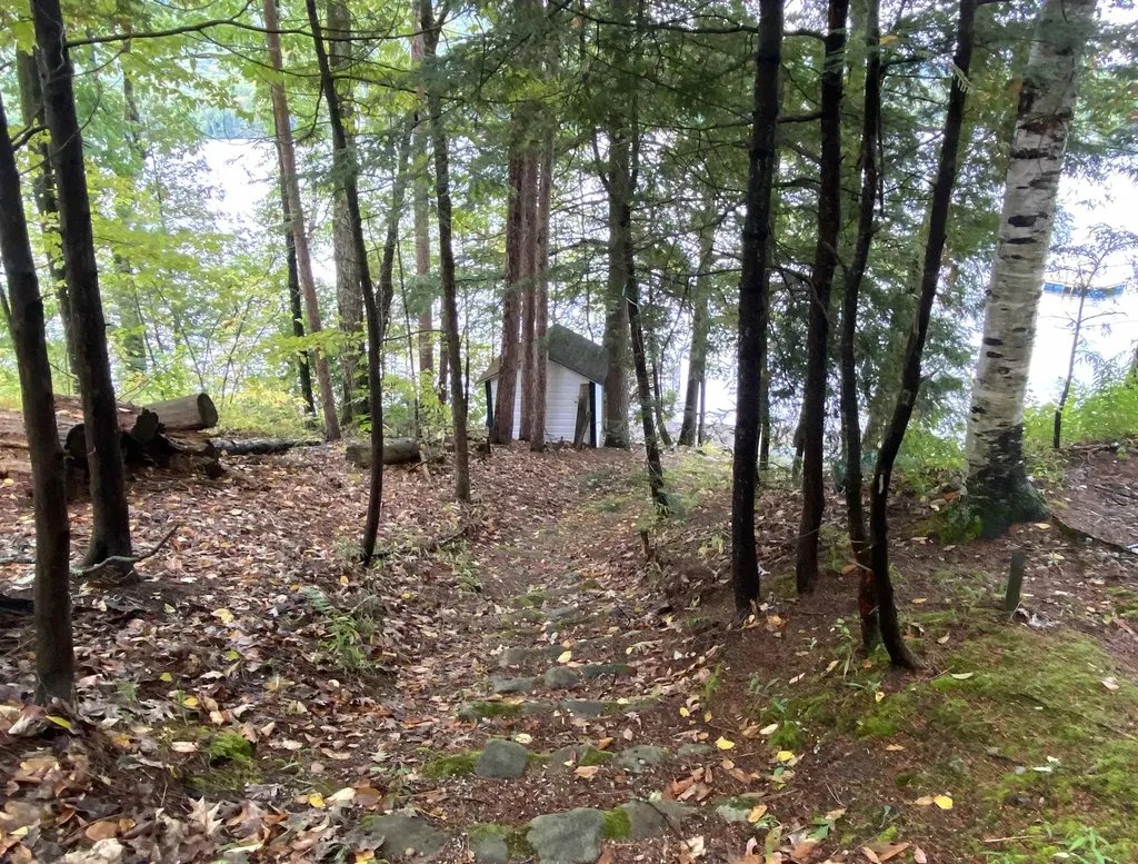 53 Lakeview Drive Leicester VT 05733