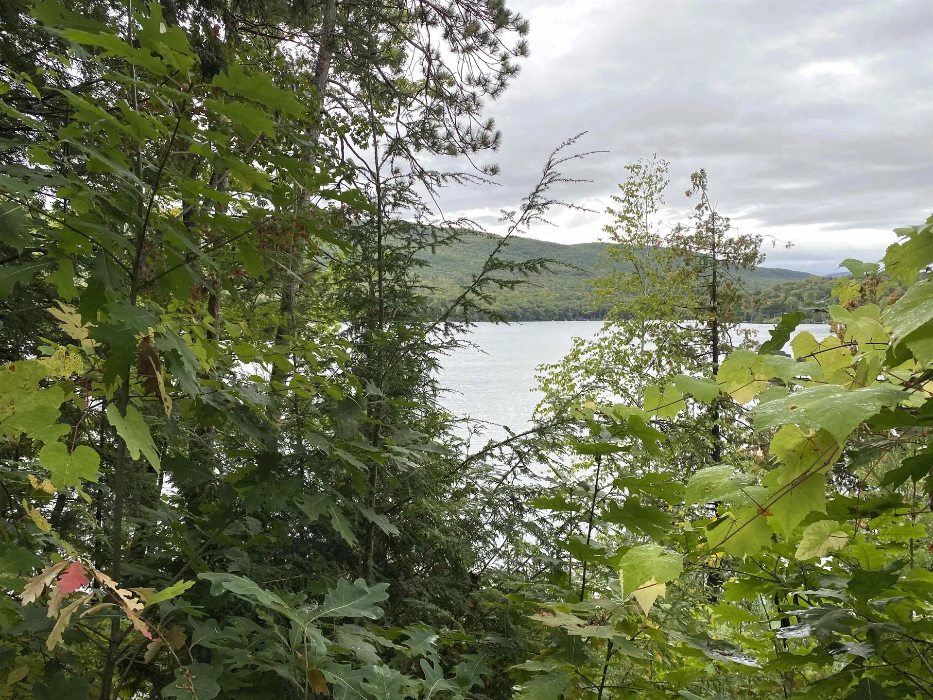 53 Lakeview Drive Leicester VT 05733