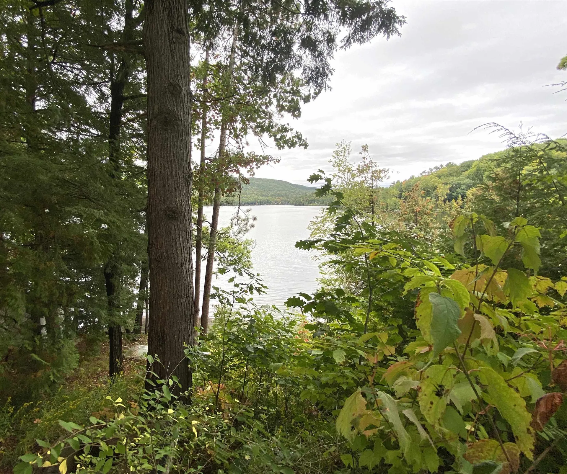 53 Lakeview Drive Leicester VT 05733