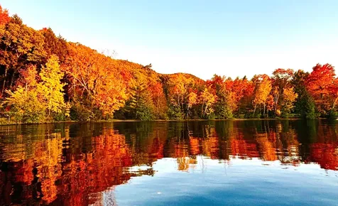 53 Lakeview Drive Leicester VT 05733