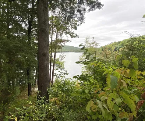 53 Lakeview Drive Leicester VT 05733