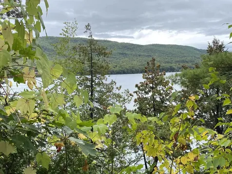 53 Lakeview Drive Leicester VT 05733