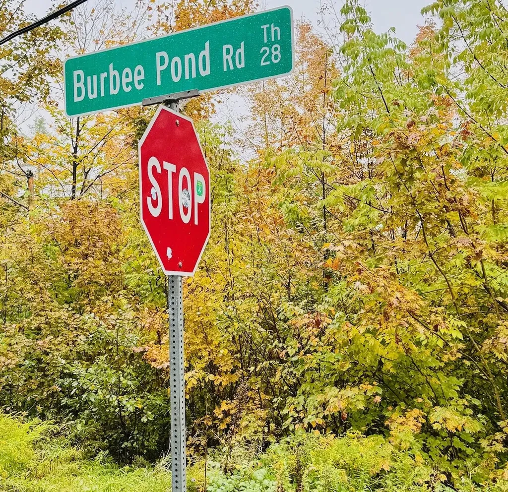 715 Chase Road Windham VT 05359