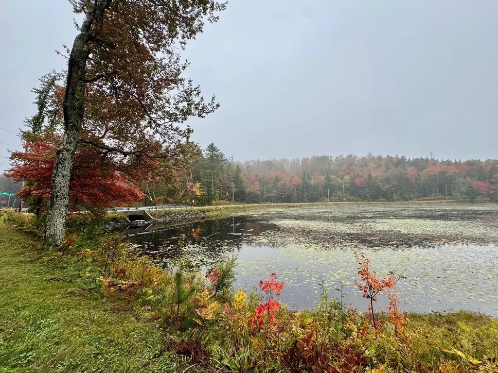 715 Chase Road Windham VT 05359