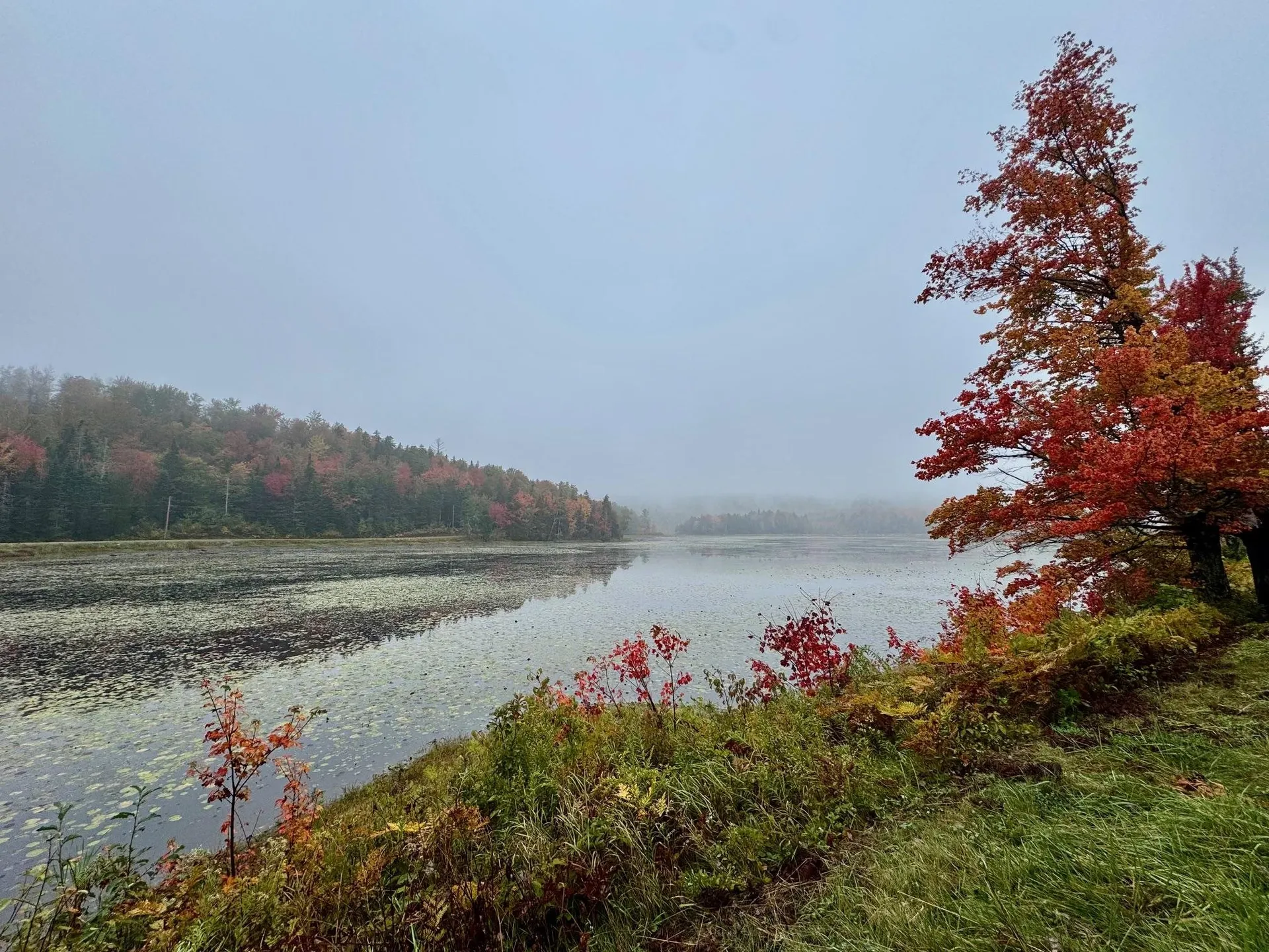 715 Chase Road Windham VT 05359