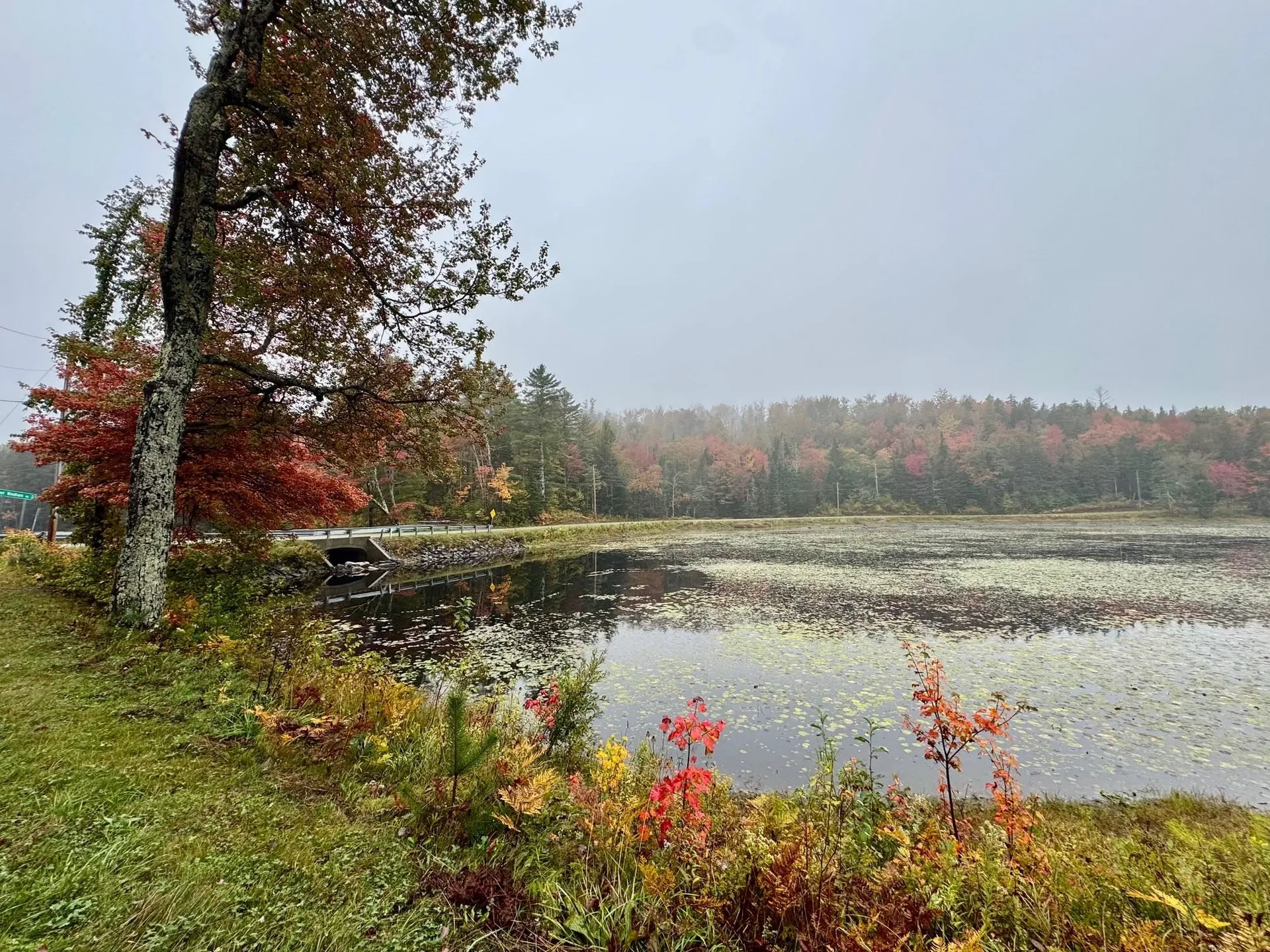 715 Chase Road Windham VT 05359