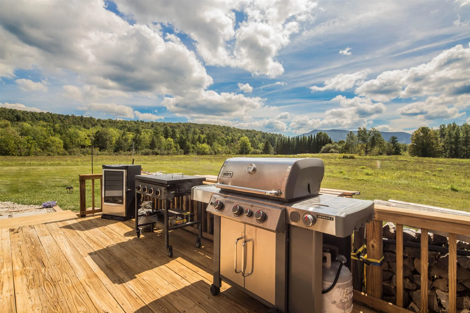 735 Tinmouth Road Danby VT 05739